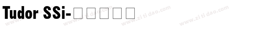 Tudor SSi字体转换